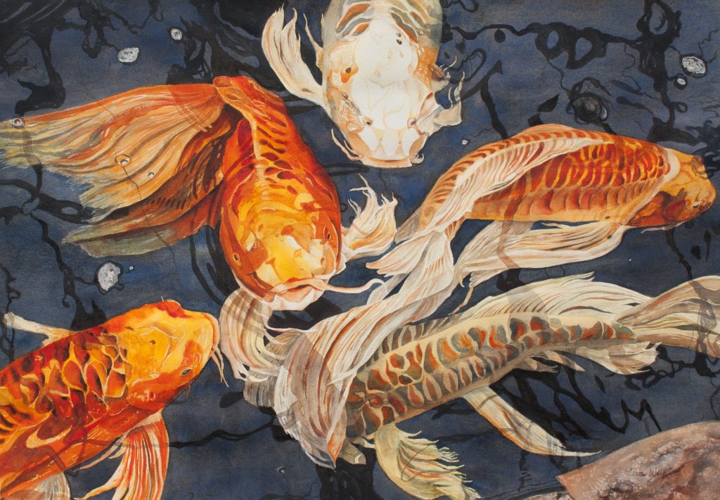 Kerry's Koi 300